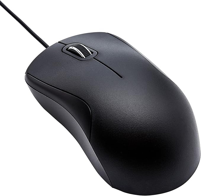 Computer Mouse